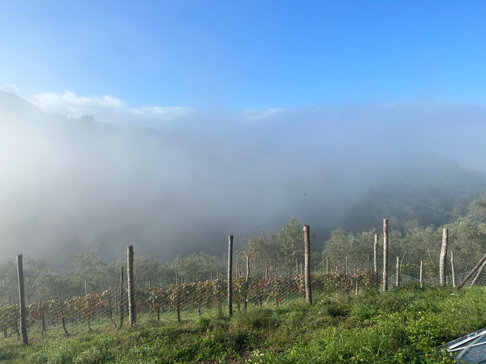 Tuscany, mists and mountains.