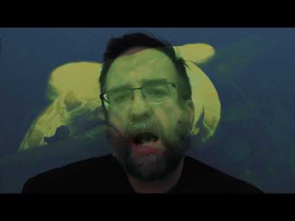 The Memory Of Snow - Viper (Official Video)