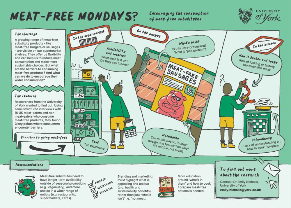 Infographic for a research project exploring barriers people face in eating more "meat substitute" products 