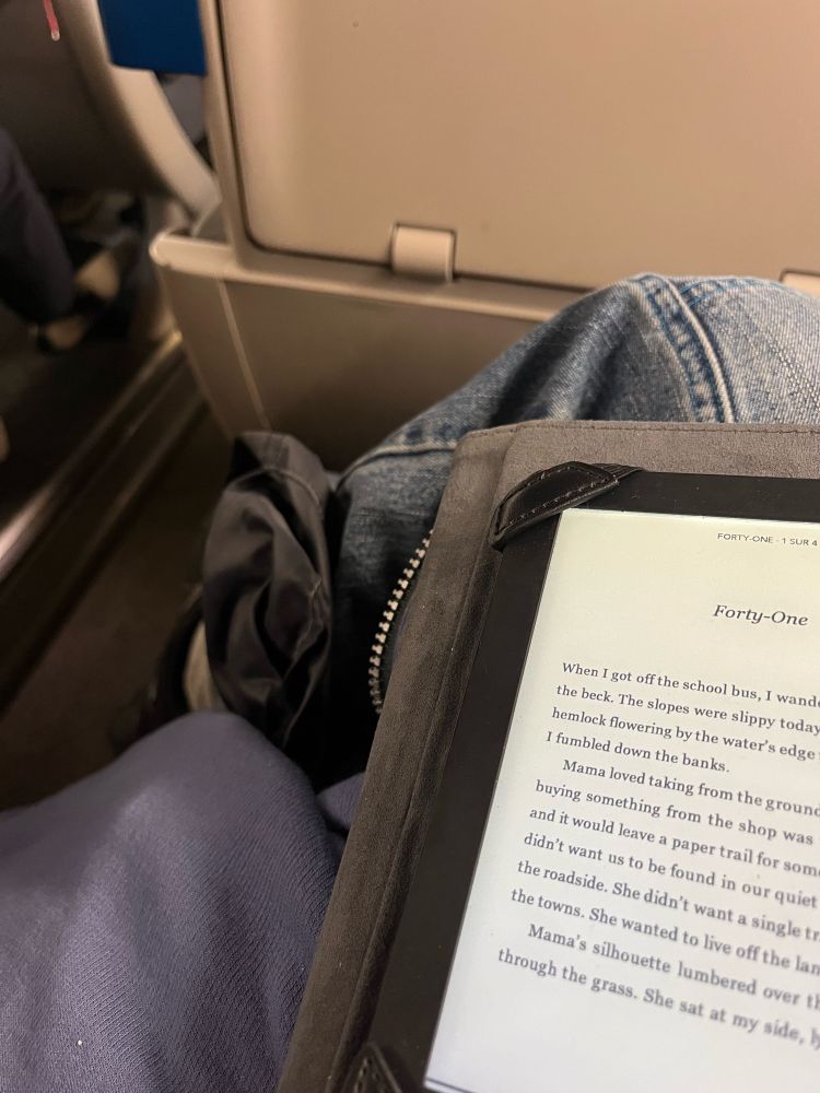 liseuse sur mes genoux dans le train