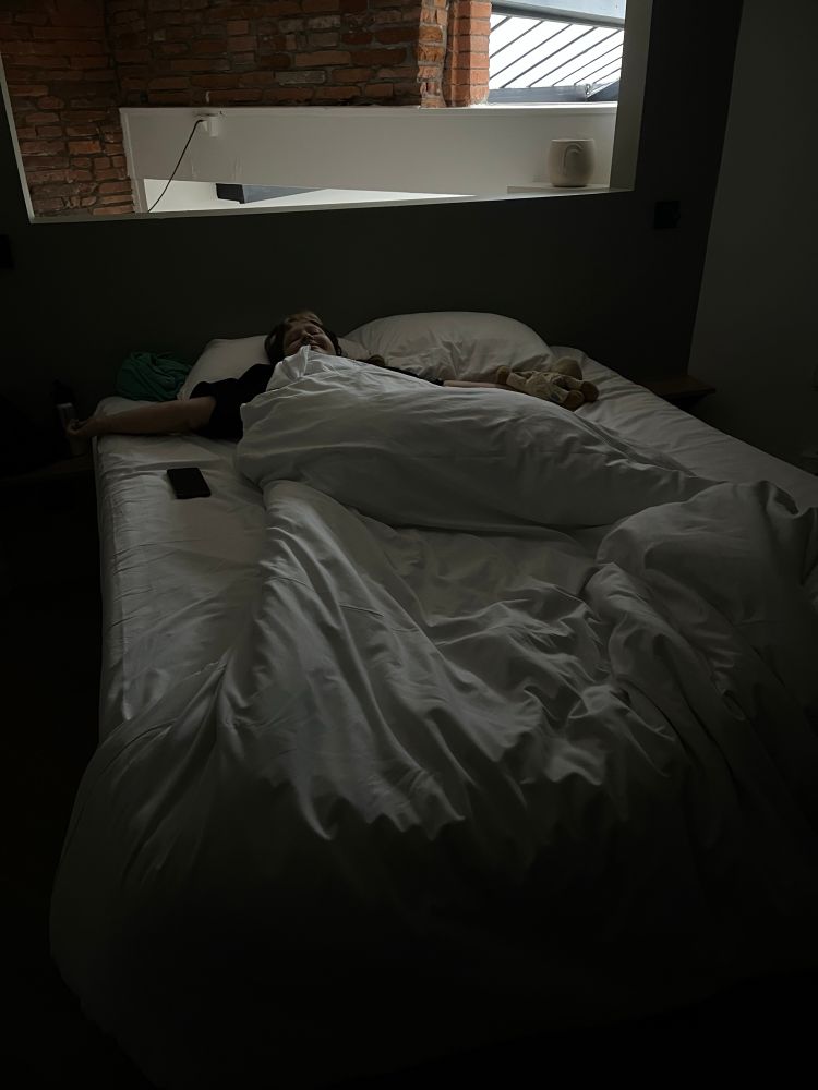 hadès au milieu et en diagonale du lit de l'airbnb tout enroulé.e dans la couette iel est tres mimi