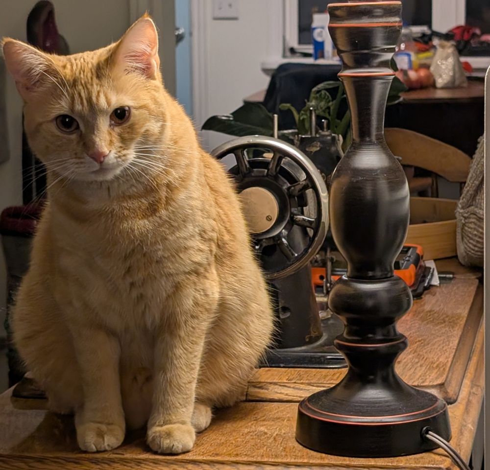 My friend marmalde who is, god love her, a fat little orange cat plump for the winter