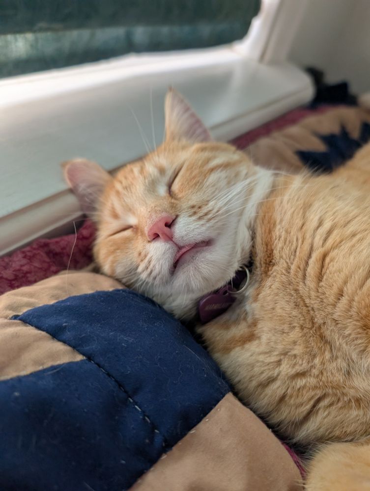 Closeup and her little tongue is out