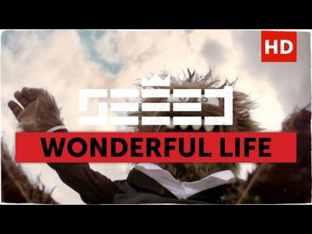 Seeed - Wonderful Life (Aargh Video)