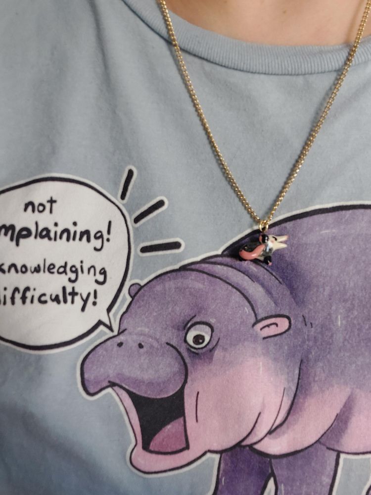 The possum being worn on a chain. The angle makes it look like the possum is riding on the cartoon hippo baby printed on my t-shirt, who is also shouting. 