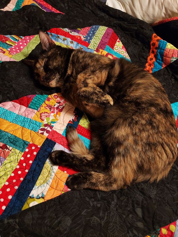 Now she's back to otter paws sleeping mode.