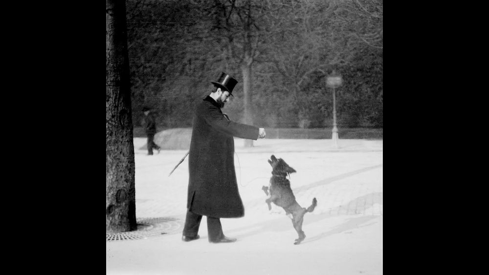 a man in a top hat plays with a jumping dog