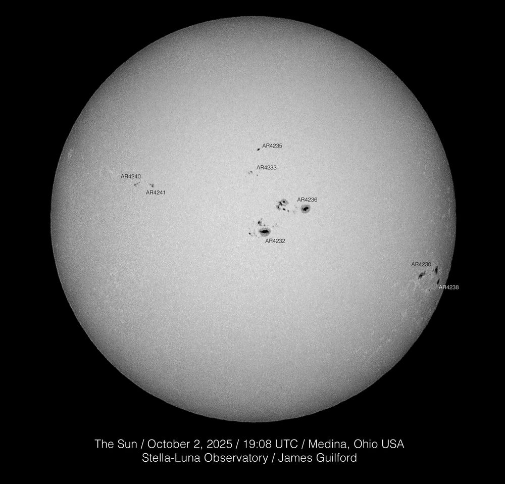 The disk of our Sun recorded in white light on October 2, 2025 at 19:08 UTC. Eight visible areas of sunspot activity are labeled with 4230 near the 4 o'clock position on the disk, and 4236 at the center -- directly facing Earth.