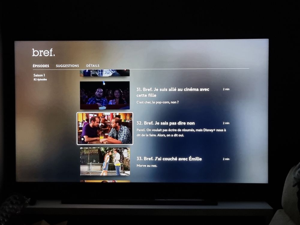 Liste des épisodes de la saison 1 de la série Bref. sur Disney+.

La description de l'épisode 32 "Bref. Je sais pas dire non" est "Pareil. On voulait pas écrire de résumé, mais Disney+ nous à dit de le faire. Alors on a dit oui.

Précision : la faute d'orthographe vient bien de l'image. 