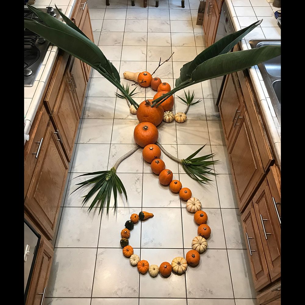 Pumpkin dragon - top
