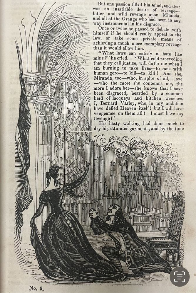 Elegant damsel dismissing ugly dude begging on his knees