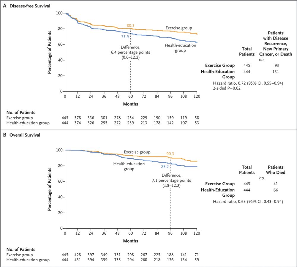 Disease-free and Overall Survival (Intention-to-Treat Population).
Shown is the probability of disease-free survival according to investigator assessment (Panel A) and overall survival (Panel B) in the exercise group and the health-education group.