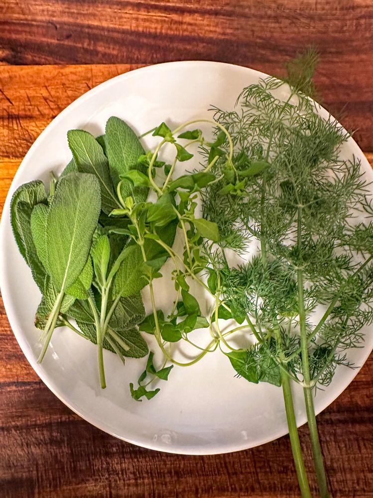 Sage, marjoram and dill