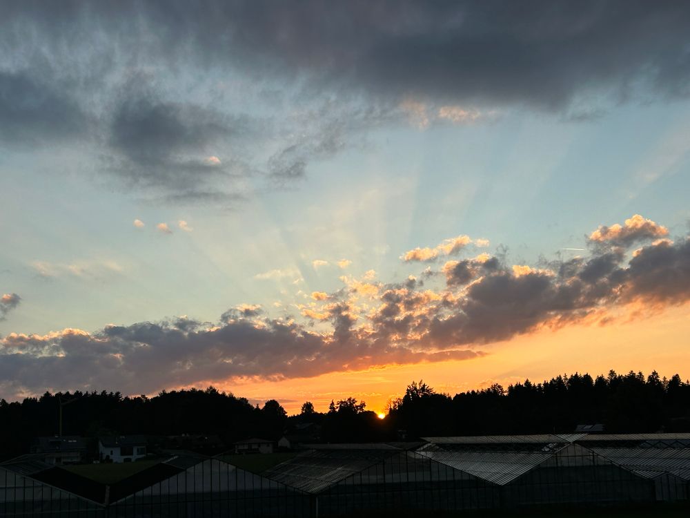 Sonnenuntergang hinter einem Wald