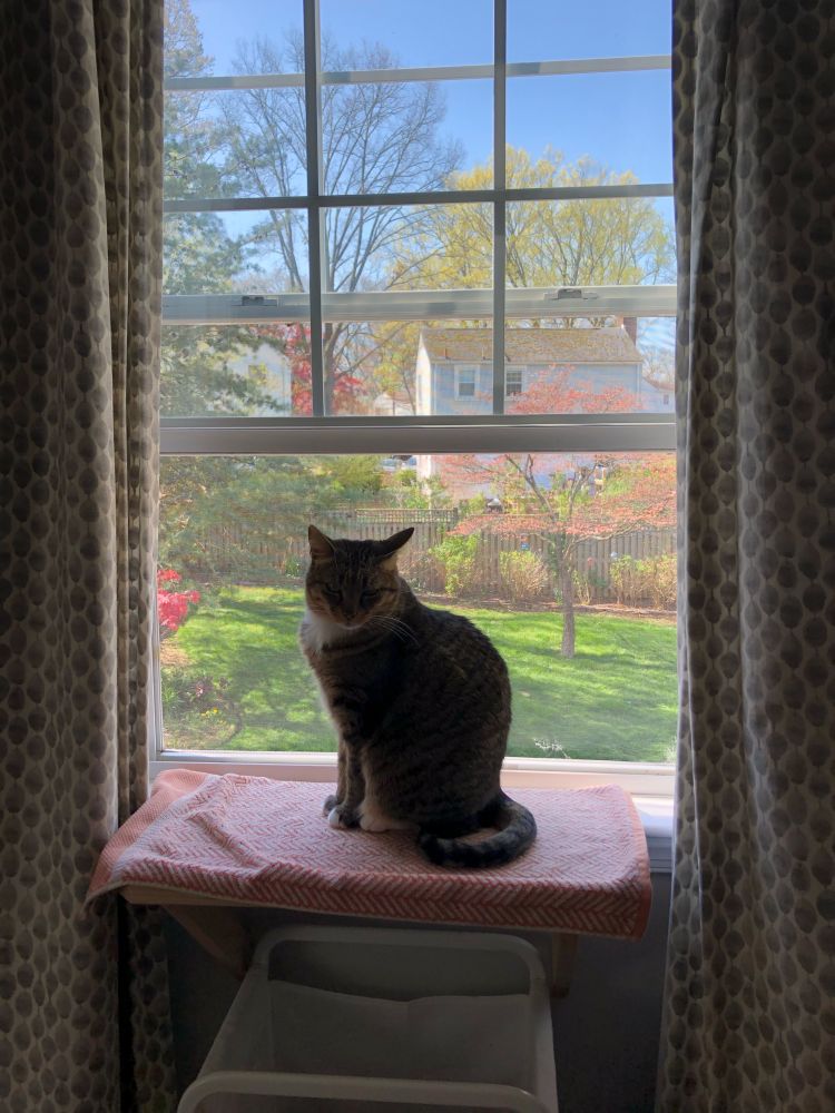 Byrd checking in on her domain