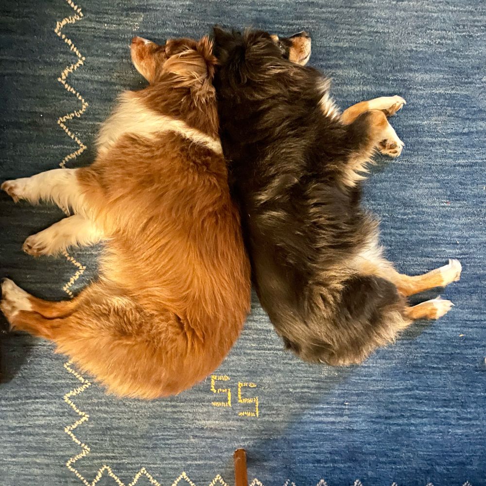 Ruth (red tri) and Mara (black tri) reconnecting