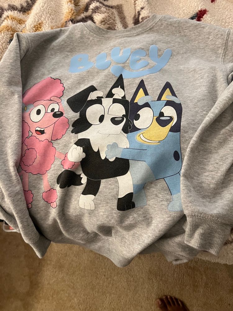 Sweatshirt from the hit children’s tv show Bluey. Pictured from left to right is Coco, Mackenzie, and Bluey 