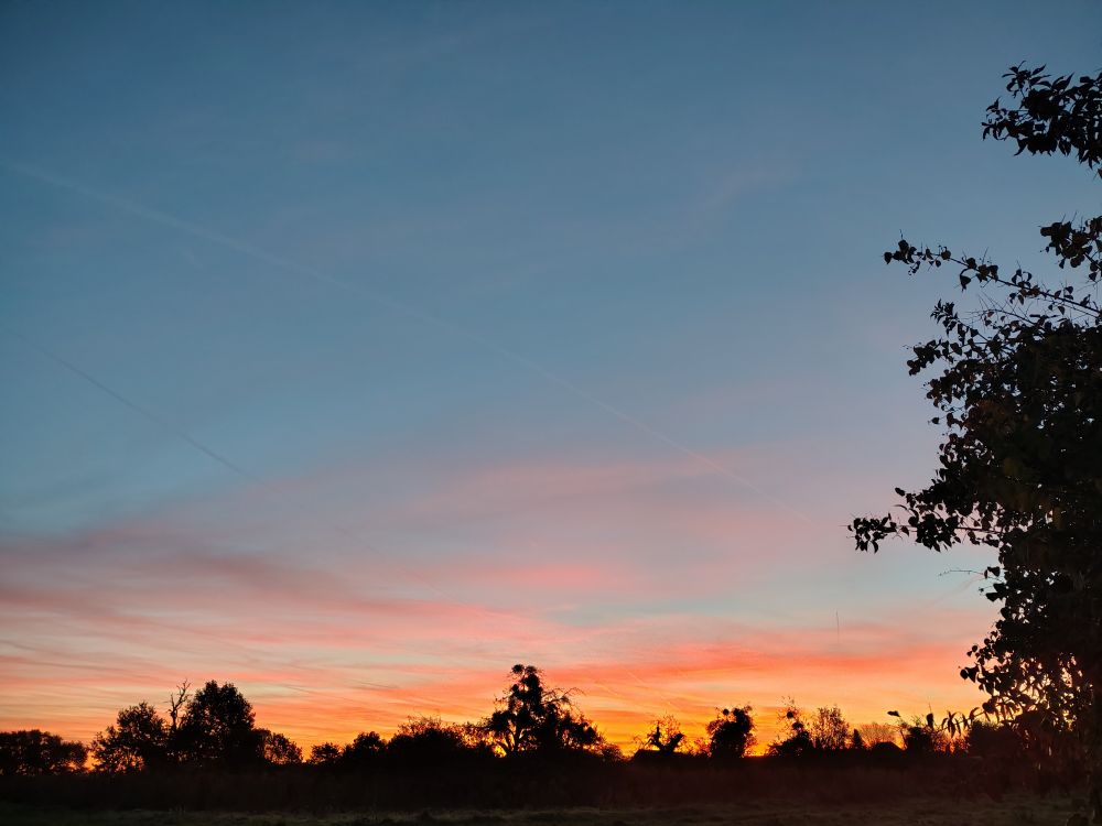 Morgenhimmel über einem Feld 