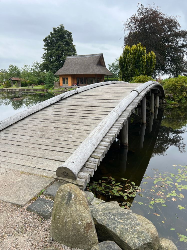 The large arched bridge connecting the pond island with one side of the pond. Four sets of supports are visible under the bridge. It has been left unpainted, in its natural wood finish.