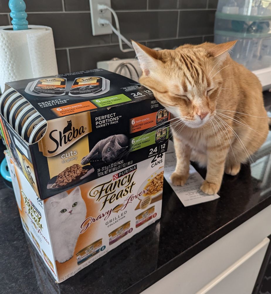 An orange cat rubs his face against a stack of boxes of wet cat food.