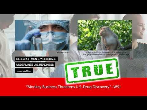 Long-tailed macaques are more important than you think for medical treatments