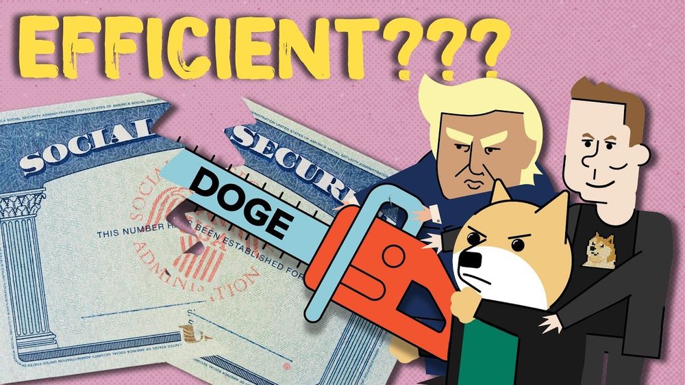 The DOGE Damage Elon is Leaving Behind