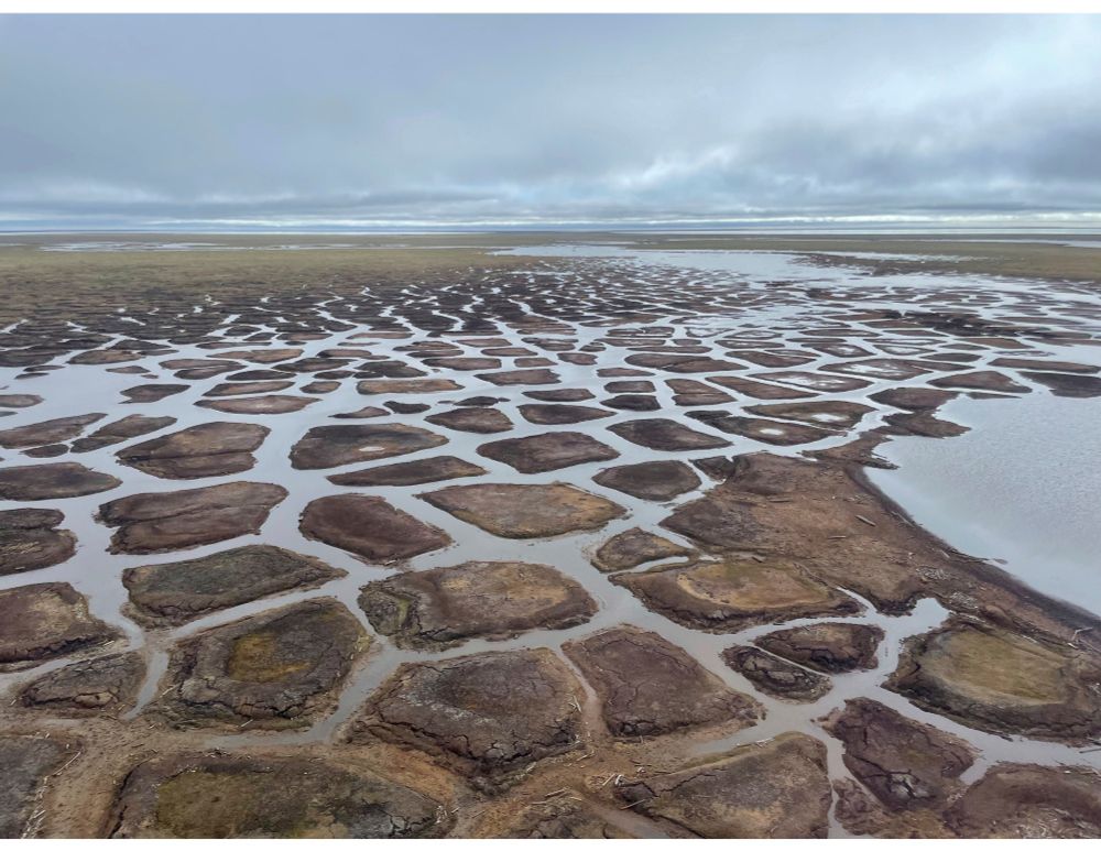 Marine flooding degrades permafrost near Point Lonely, Alaska. As compound climate impacts accelerate coastal change, there is an urgent need for adaptive strategies to protect vulnerable communities and infrastructure. (Photo by: Benjamin M. Jones, Institute of Northern Engineering, University of Alaska Fairbanks)