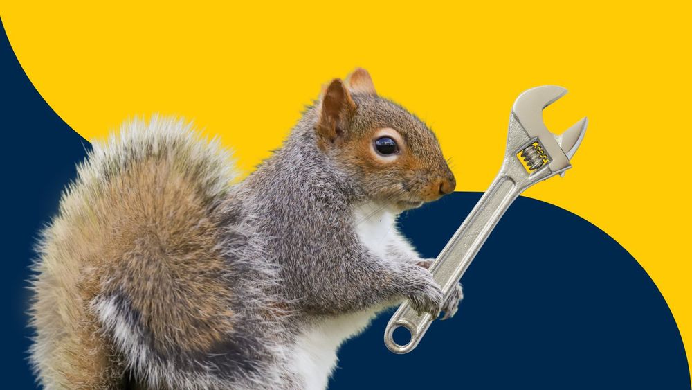 Squirrel with a wrench.