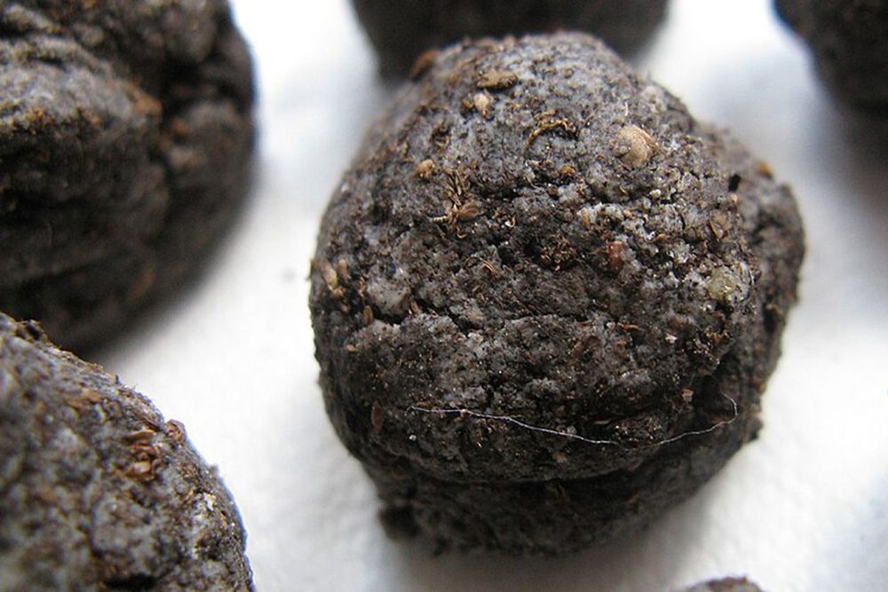Balls of soil embedded with seeds.