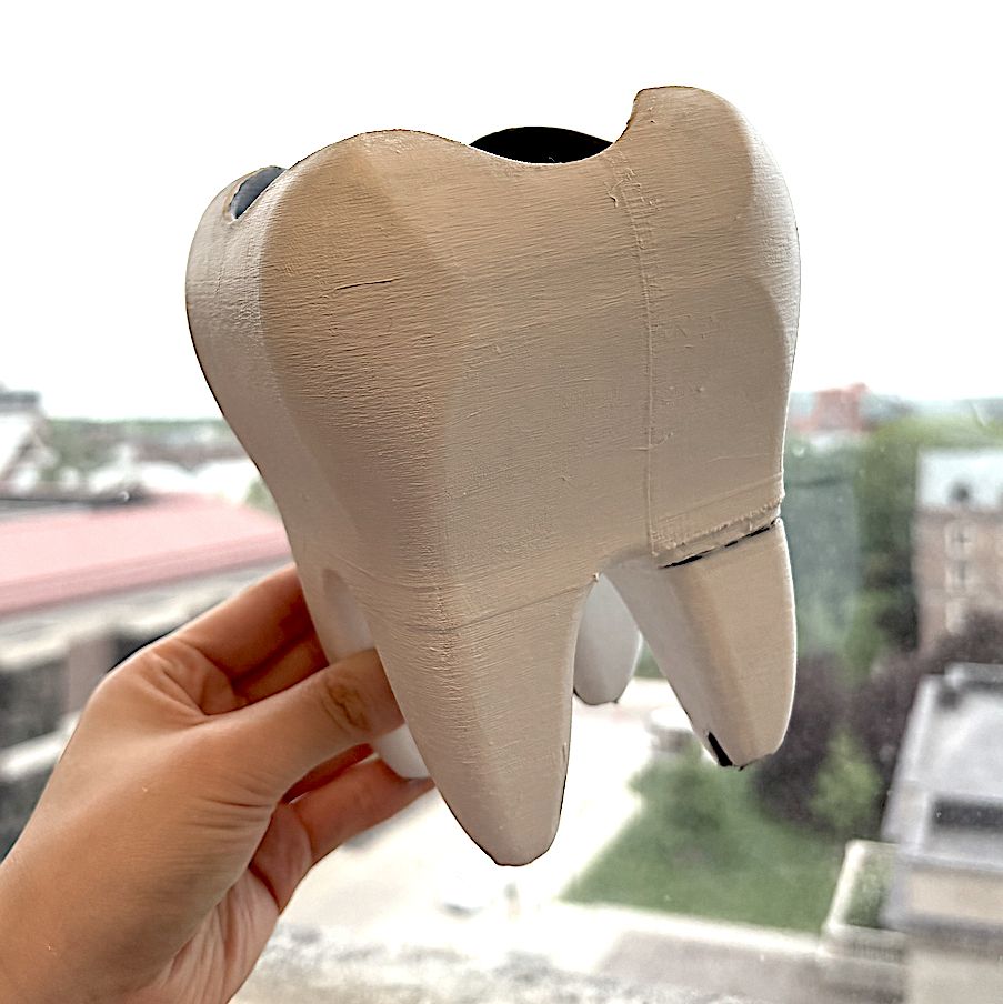 Giant 3-D printed tooth, hollow to be used as a vase.