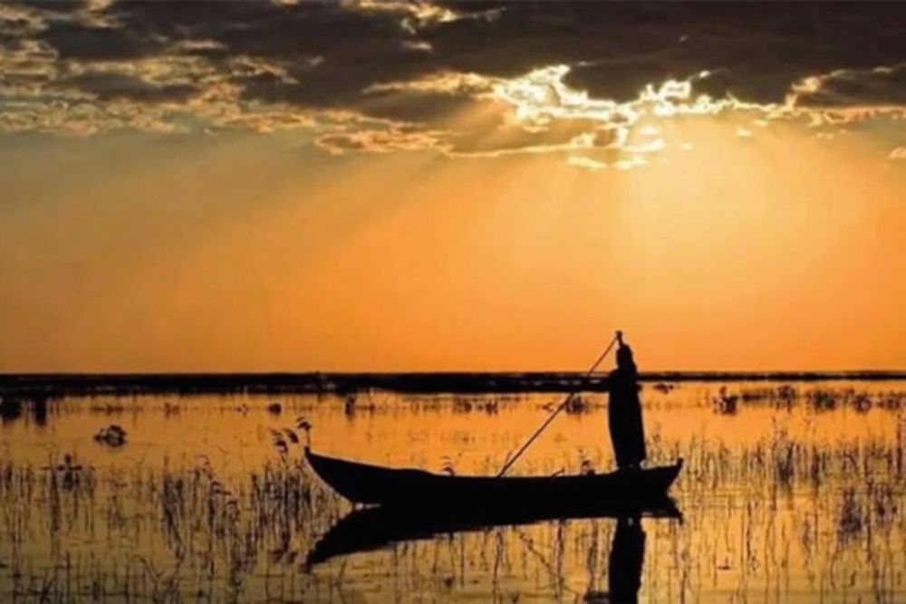 Person standing at the back of a canoe with a long oar.