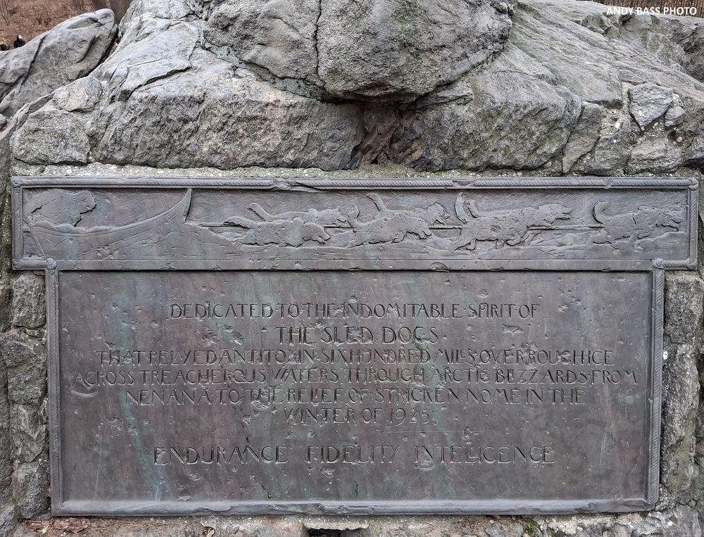 A bronze dedication tablet is mounted on the rock outcropping directly below the Balto statue.  It reads, “Dedicated to the indomitable spirit of the sled dogs that relayed antitoxin six hundred miles over rough ice, across treacherous waters, through Arctic blizzards, from Nenana to the relief of stricken Nome in the winter of 1925.  Endurance, Fidelity, Intelligence.”  (Andy Bass photo, 2025)