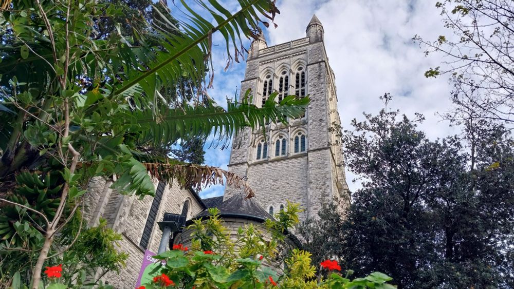 St Matthew in the City taken from the street looking up through the tropical garden at the White Ōamaru stone church tower punching through the foliage