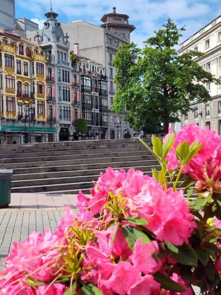 Discover the top things to do in Oviedo, Spain—from historic landmarks and local food spots to scenic walks and cultural highlights.
