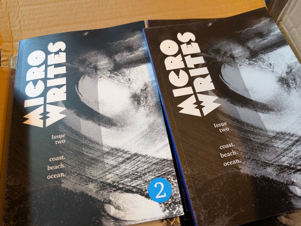 Two stacks of Issue Two (coast. beach. ocean) of microwrites, in a cardboard box.