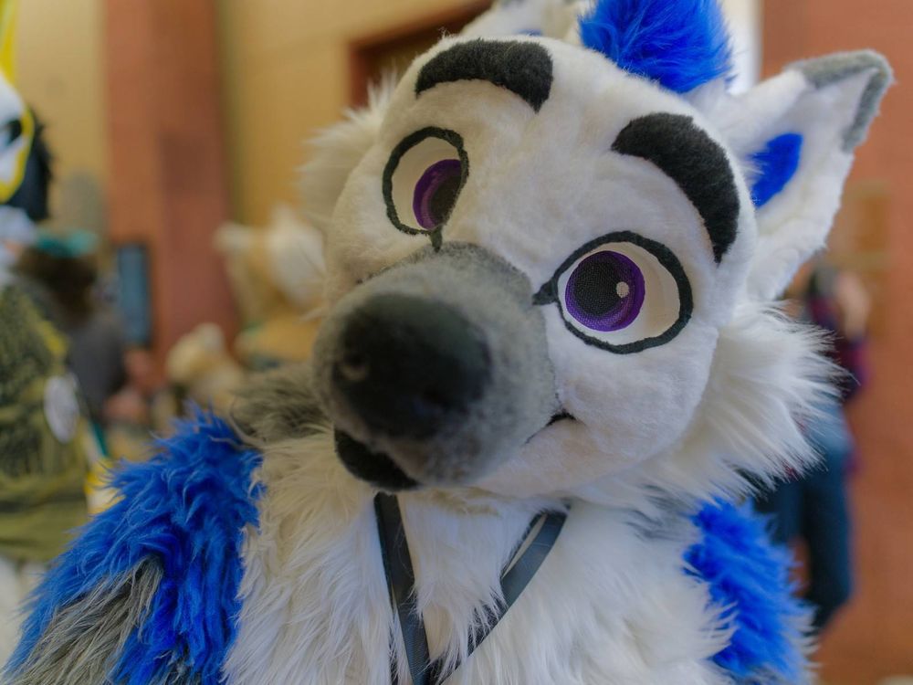 A close up photo of Beixs in fursuit. His head is tilted to the side. The shallow depth of field has his eyes in focus, but his nose and background are out of focus.