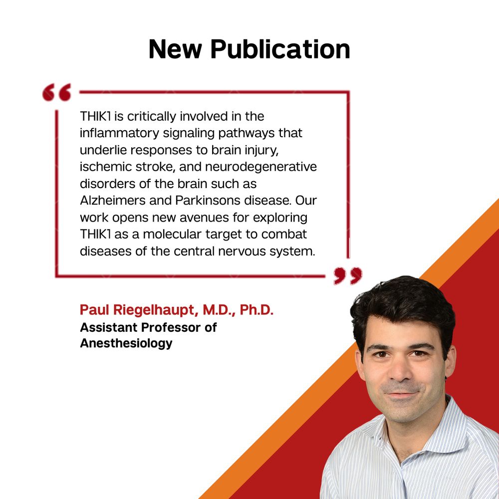 New publication with headshot of Dr. Riegelhaipt. "THIK1 is critically involved in the inflammatory signaling pathways that underlie responses to brain injury, ischemic stroke, and neurodegenerative disorders of the brain such as Alzheimers and Parkinsons disease. Our work opens new avenues for exploring THIK1 as a molecular target to combat diseases of the central nervous system." Paul Riegelhaupt, M.D., Ph.D., Assistant Professor of Anesthesiology.