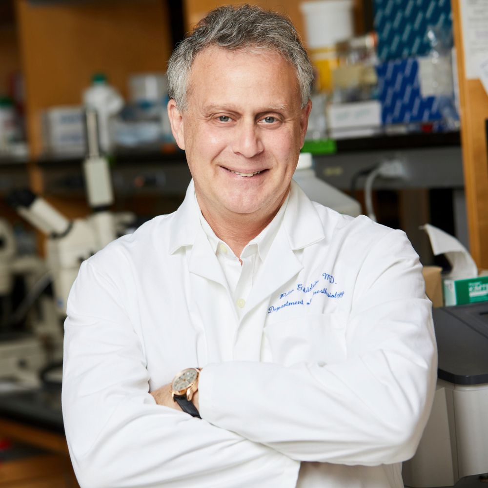 Dr. Peter A. Goldstein in his lab.