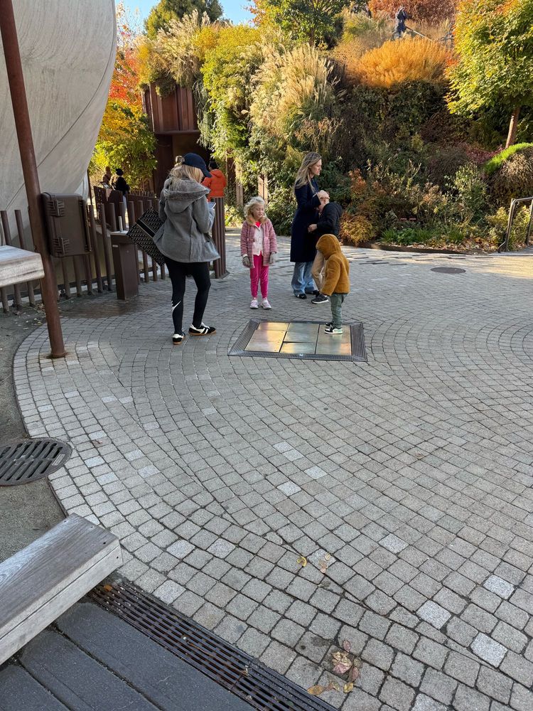 Children interact with a device that plays chimes of various pitches when stepped on