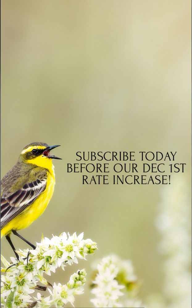 Bird with open beak with the words: subscribe today before our Dec 1st rate increase 