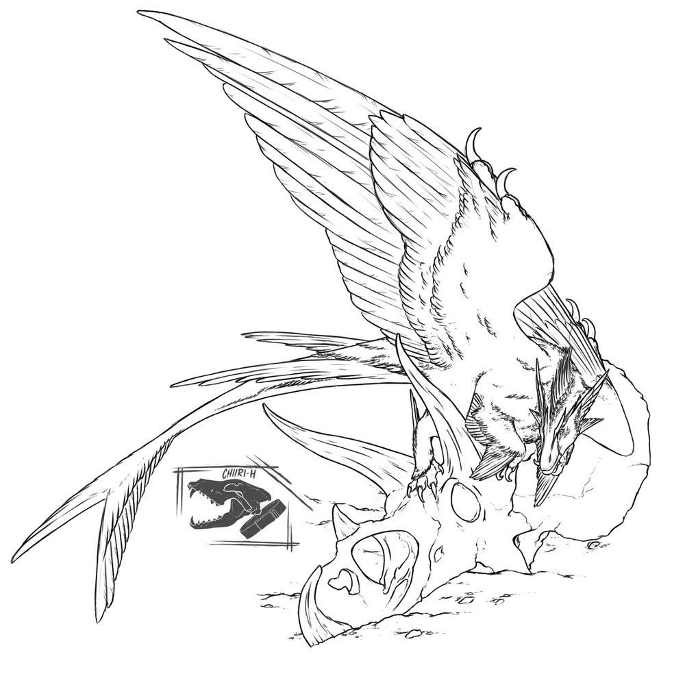 A raptor-like dragon creature, Sardiryx, perched on a triceratops skull. It's a cleaned up sketch with no coloring 