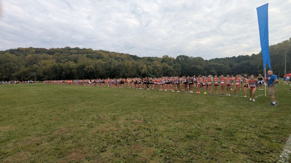 233 high school girls cross country runners at the starting line 