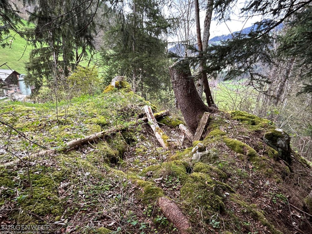 Burg Steinegg, Zweisimmen