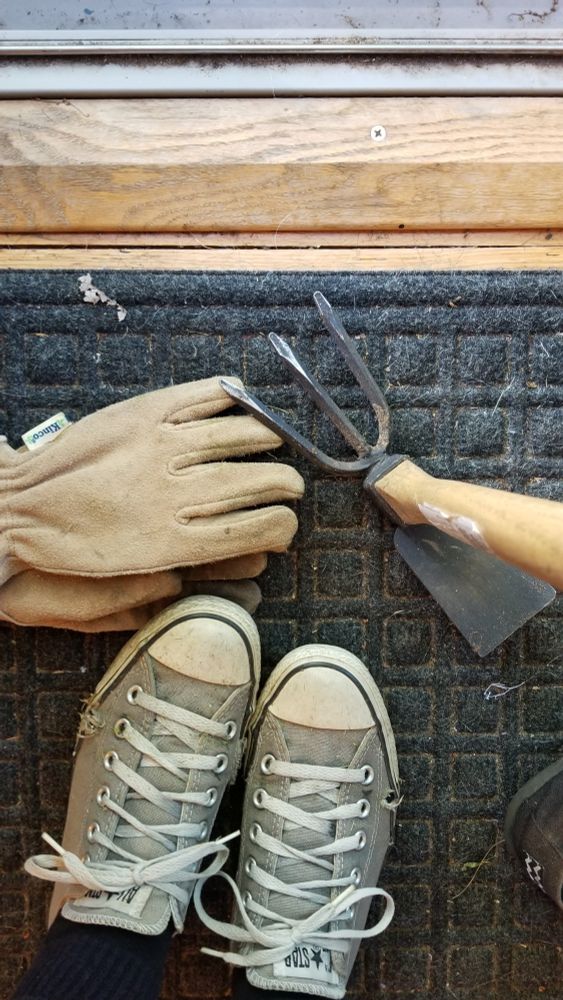 Beat up, 18 year old Converse All Stars sit on a rug next to gardening gloves and a small rake... thing.