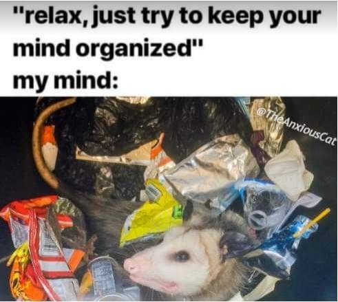 An opossum is surrounded by trash. "Just try to keep your mind organized."
My mind: