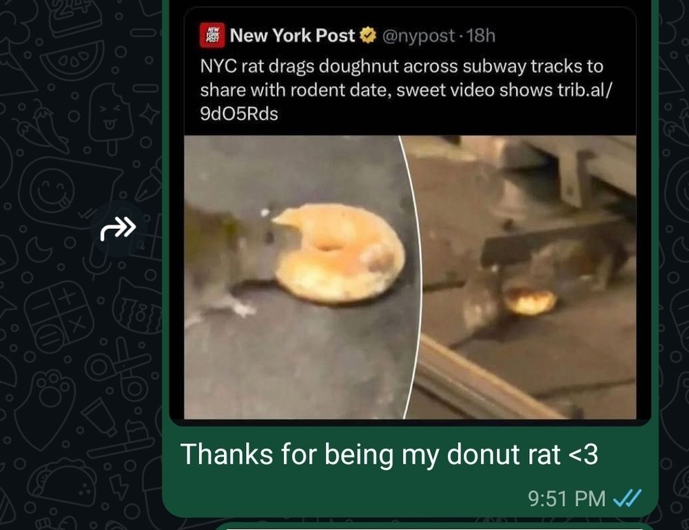 A screenshot of a WhatsApp chat between Nori and their wife. The message from Nori is a screenshot of a news story from the New York Post with the title "NYC rat drags donut across driveway tracks to share with rodent date." There is photographic proof. Nori's caption is simply "thanks for being my donut rat <3"