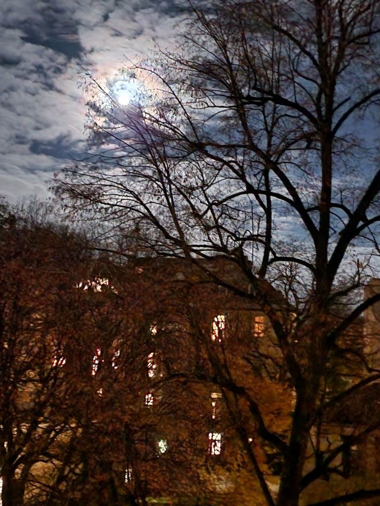 Mit offen. Fenster, vor wenigen Minuten, am 26.11.2023, fotografiert: Mond.