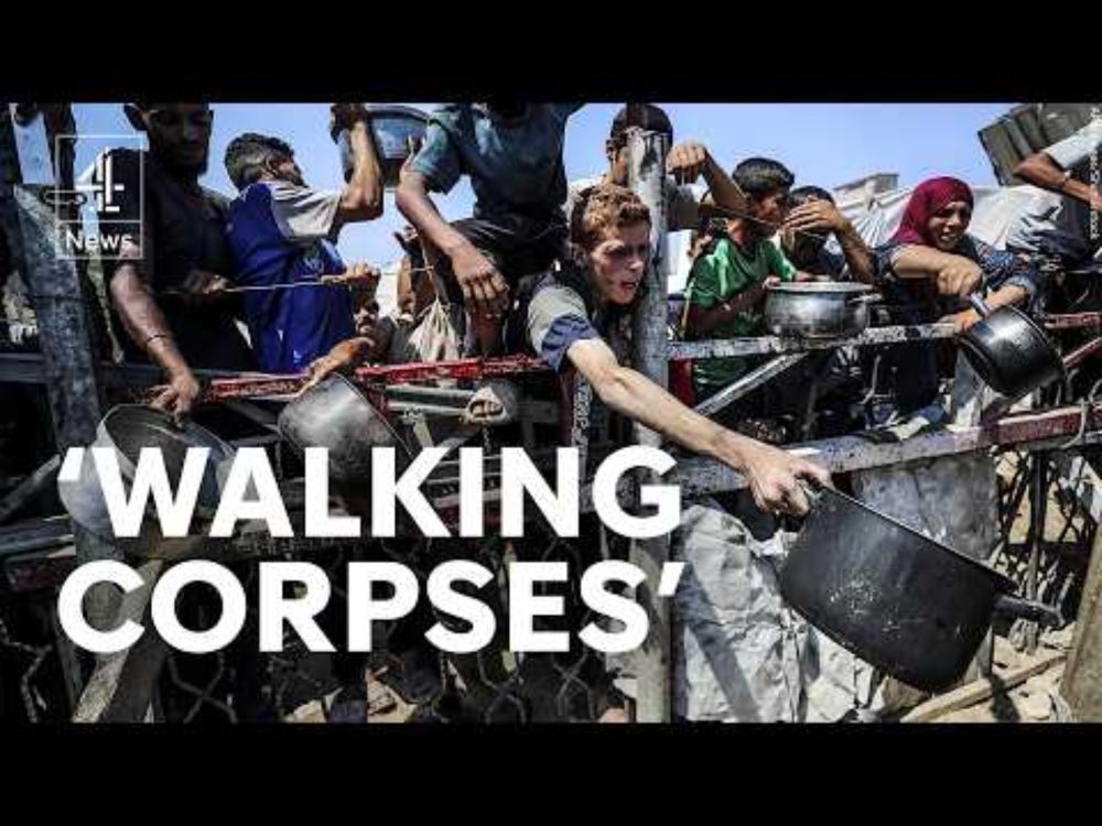 Gaza starvation so severe people are ‘walking corpses’, UN says