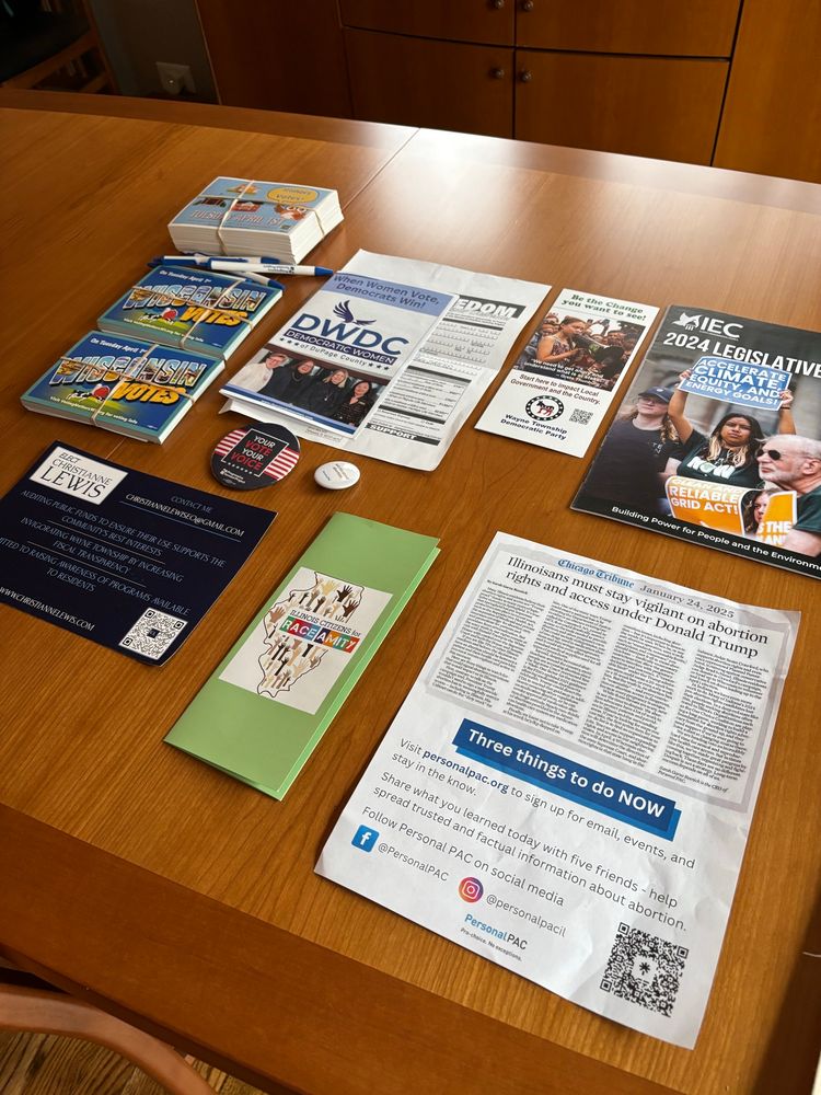 Various pamphlets and papers from democratic organizations in my county.