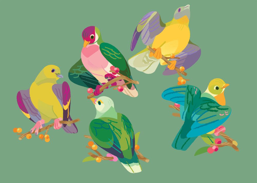 five illustrations featuring colorful doves 
